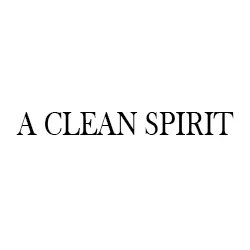 A Clean Spirit A Clean Spirit