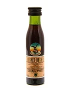 Lille miniatureflaske Fernet Branca med sort etiket