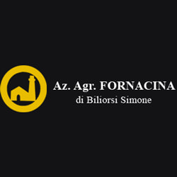 Fornacina Vin Fornacina Vin