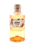 Flaske June by G'Vine Vild Fersken & Sommerfrugt Gin fra Frankrig