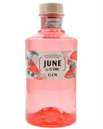 Flaske June by G'Vine Vandmelon Gin fra Frankrig