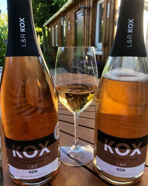 Vin fra Luxembourg - del 1 af guiden