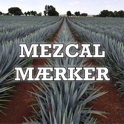 Mezcal Mezcal