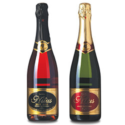 Nitus Cava Nitus Cava
