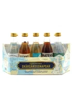 Gavesæt med ti farverige miniatureflasker snaps