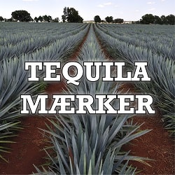 Tequilamærker Tequilamærker