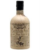 Flaske Professor Cornelius Ampleforths Bathtub Sloe Gin fra England