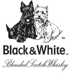Black & White Black & White