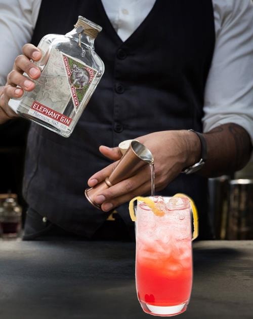 Sloe Fizz cocktail med Elephant Sloe Gin