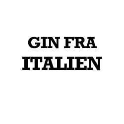 Italiensk Gin
