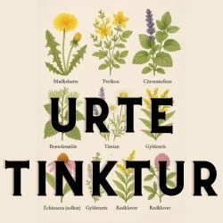 Urtetinktur
